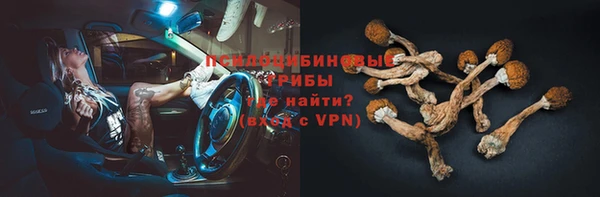 ГАЛЛЮЦИНОГЕННЫЕ ГРИБЫ Семикаракорск