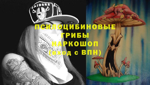 винт Алзамай