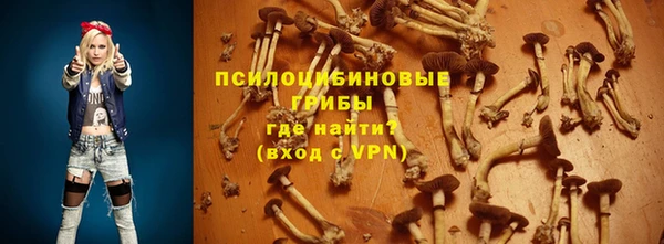 винт Алзамай